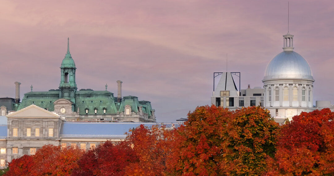 Temporary Foreign Worker Program suspended on the island of Montreal for 6 months